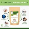 Ashwagandha Bio en Poudre Bioptimal | Boostez votre vitalité naturellement