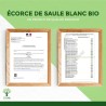Saule bio : tonifiant naturel pour lutter contre les douleurs et améliorer le sommeil