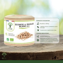 Saule bio : tonifiant naturel pour lutter contre les douleurs et améliorer le sommeil