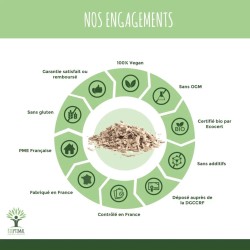 Saule bio : tonifiant naturel pour lutter contre les douleurs et améliorer le sommeil