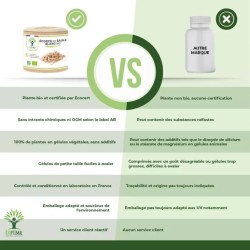 Saule bio : tonifiant naturel pour lutter contre les douleurs et améliorer le sommeil