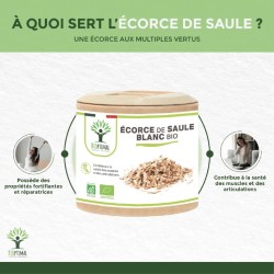 Saule bio : tonifiant naturel pour lutter contre les douleurs et améliorer le sommeil