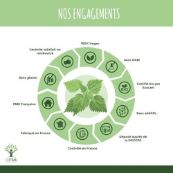 Ortie Bio : Santé articulaire, drainage et évite les migraines
