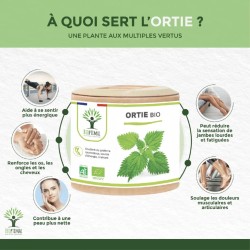 Ortie Bio : Santé articulaire, drainage et évite les migraines