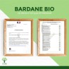 Gélules de Bardane bio contre les migraines : bienfaits de cette plante miracle