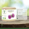 Gélules de Bardane bio contre les migraines : bienfaits de cette plante miracle