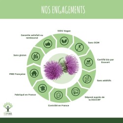 Gélules de Bardane bio contre les migraines : bienfaits de cette plante miracle