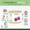 Gélules de Bardane bio contre les migraines : bienfaits de cette plante miracle